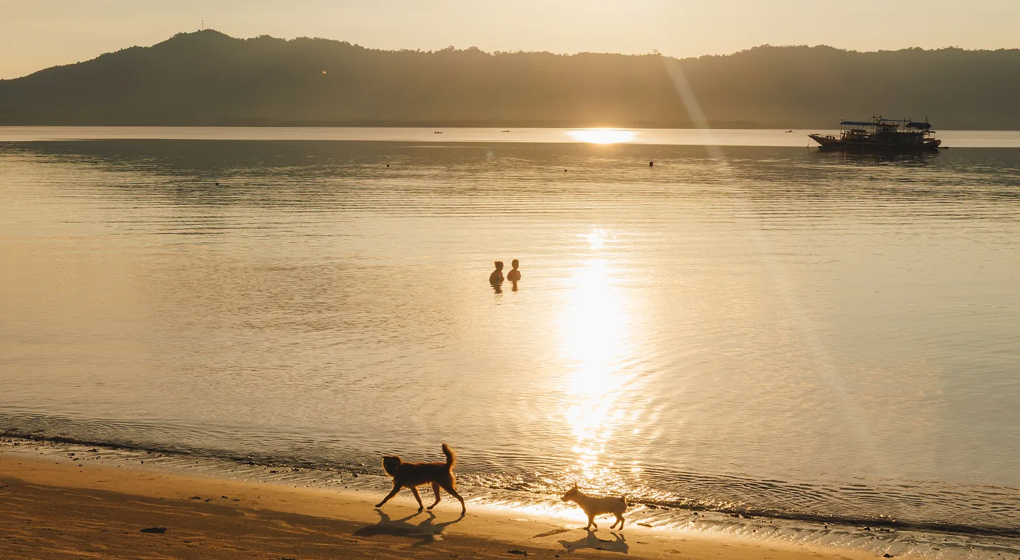 Relax and unwind! As the sun melts into the horizon, swim side by side in the warm shallows while dogs play along the shore. These are the simple moments of connection that capture the spirit of life at Tao Dipnay Farm, the Philippines.