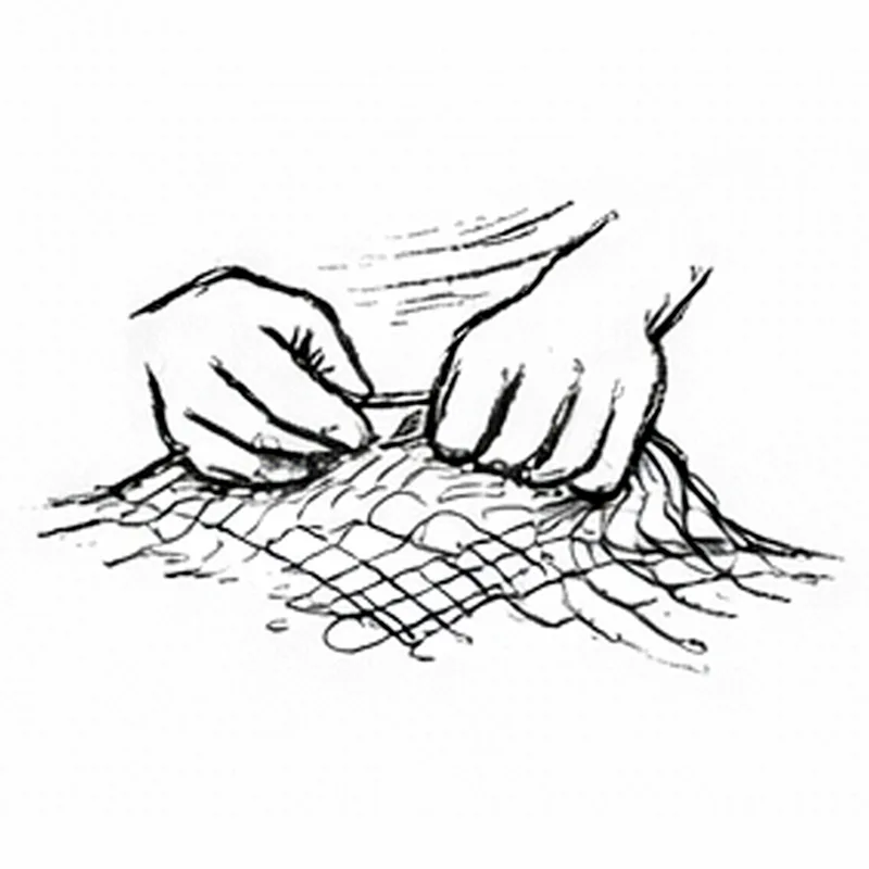 EDUCATION & LIVELIHOOD