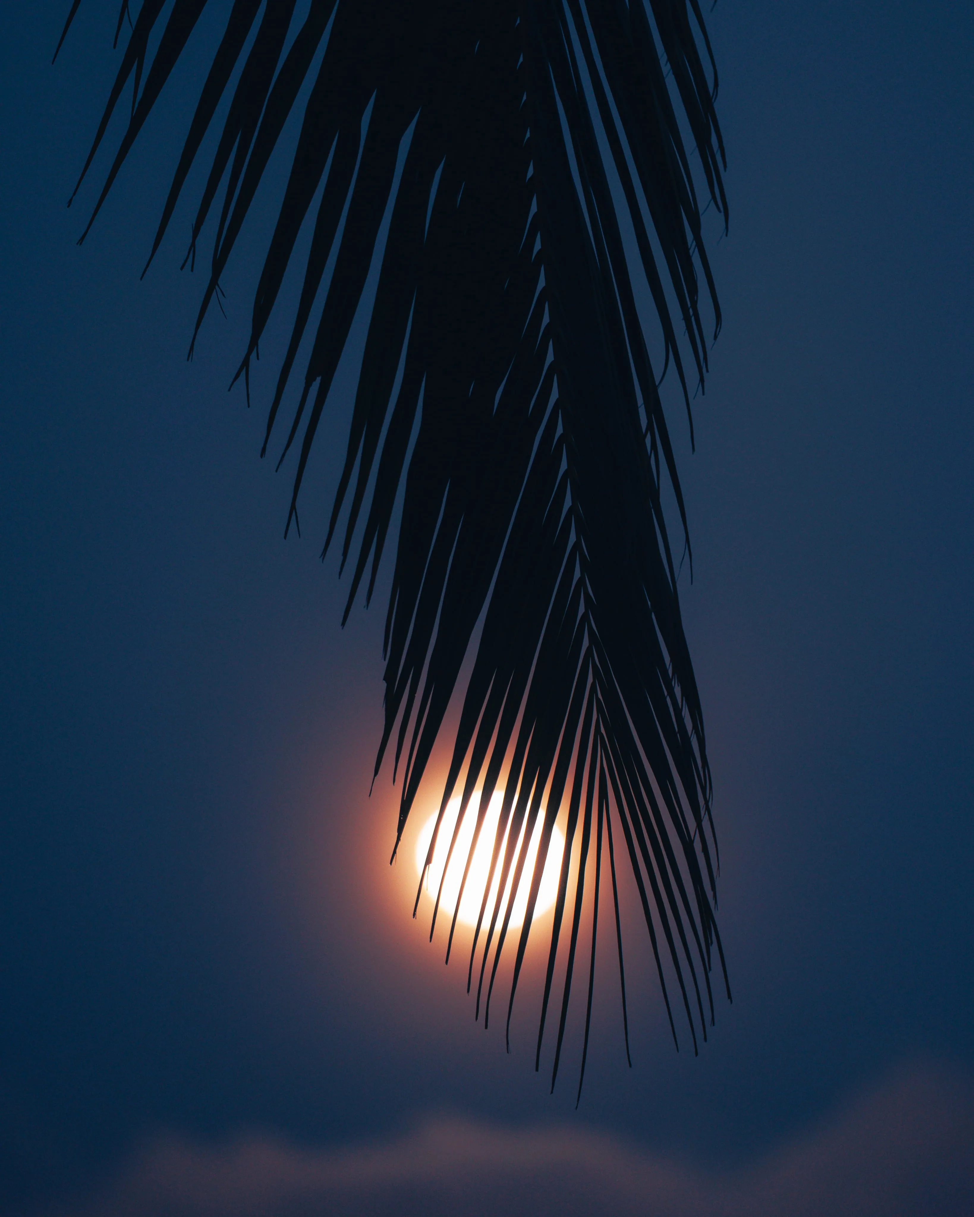 Welcome to the kitchen