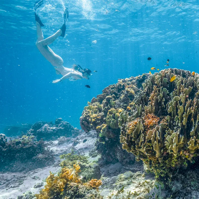 Dive in! Jump overboard to snorkel vibrant coral reefs, swim to secluded beaches, or relax on deck with a book. The Tao Experience is a social gathering, but there’s always space to step back, disconnect, and find your own rhythm.