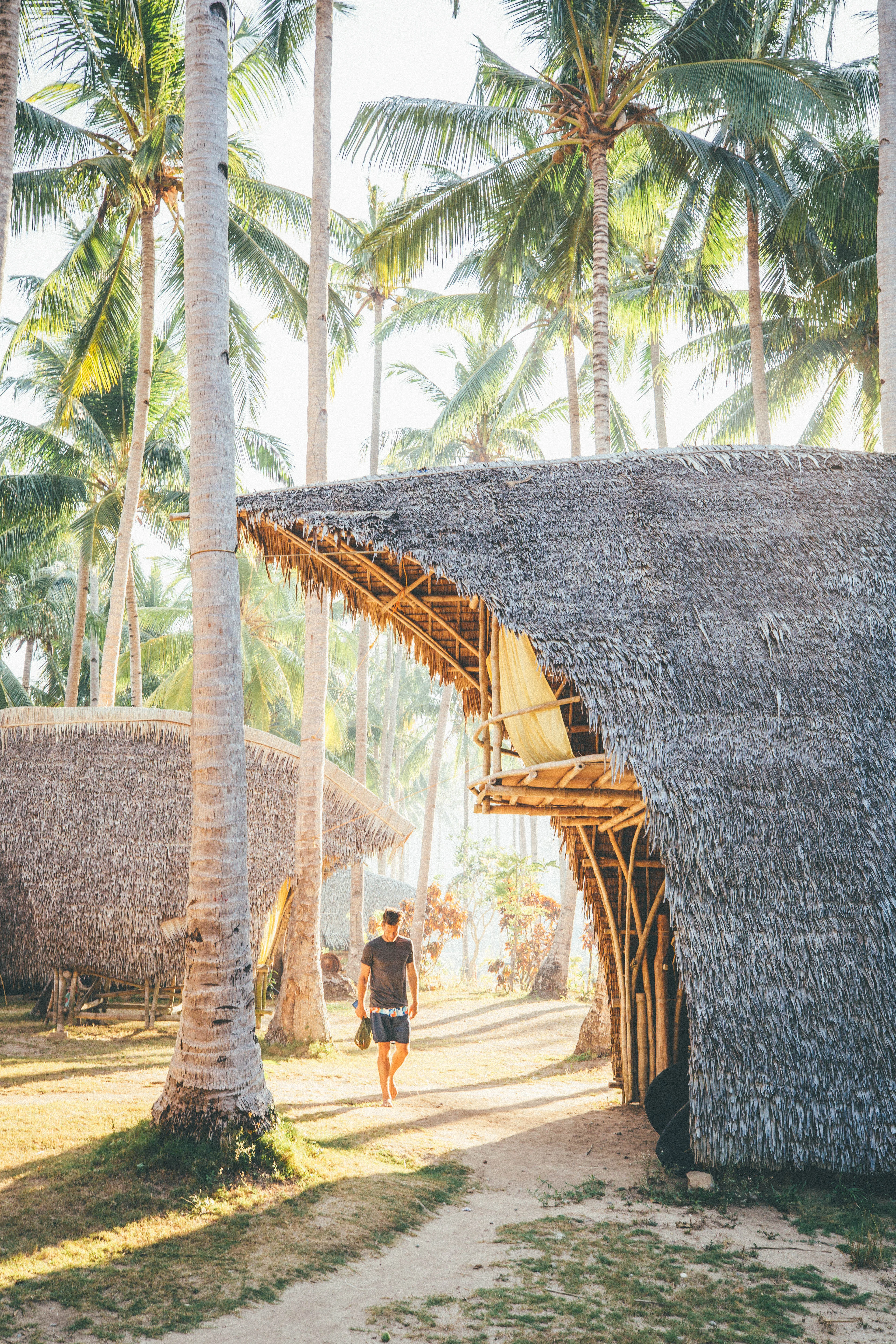 Stay in Tao’s off-grid bamboo basecamps, hidden in coves, jungles and island communities. Sleep in our hand-crafted Tuka huts, their bird-beak curves designed for shade, breeze, and connection to nature.